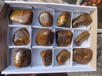 Polished Golden Tigers Eye Free Forms x 12 From Prieska, Northern Cape