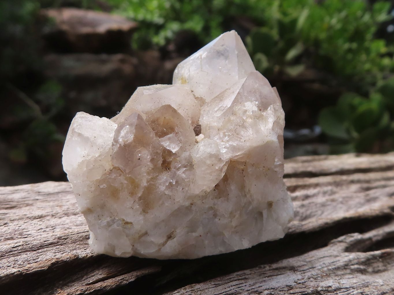 Natural Mixed Selection Of Small Spirit Quartz Clusters   x 24 From Boekenhouthoek, South Africa - TopRock