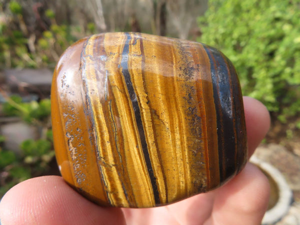 Polished Golden Tigers Eye Free Forms x 12 From Prieska, Northern Cape