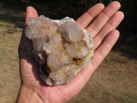 Natural Spirit Cactus Quartz Clusters With Limonite Colouring x 3 From Boekenhouthoek, South Africa - TopRock