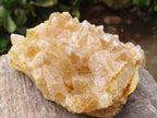 Natural Golden Limonite / Lemonite Quartz Clusters  x 12 From Zambia - Toprock Gemstones and Minerals 