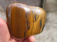 Polished Golden Tigers Eye Free Forms x 12 From Prieska, Northern Cape