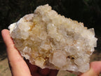 Natural Spirit Cactus Quartz Clusters With Limonite Colouring x 3 From Boekenhouthoek, South Africa - TopRock