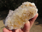 Natural Spirit Cactus Quartz Clusters With Limonite Colouring x 3 From Boekenhouthoek, South Africa - TopRock
