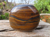 Polished Golden Tigers Eye Free Forms x 12 From Prieska, Northern Cape