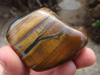 Polished Golden Tigers Eye Free Forms x 12 From Prieska, Northern Cape