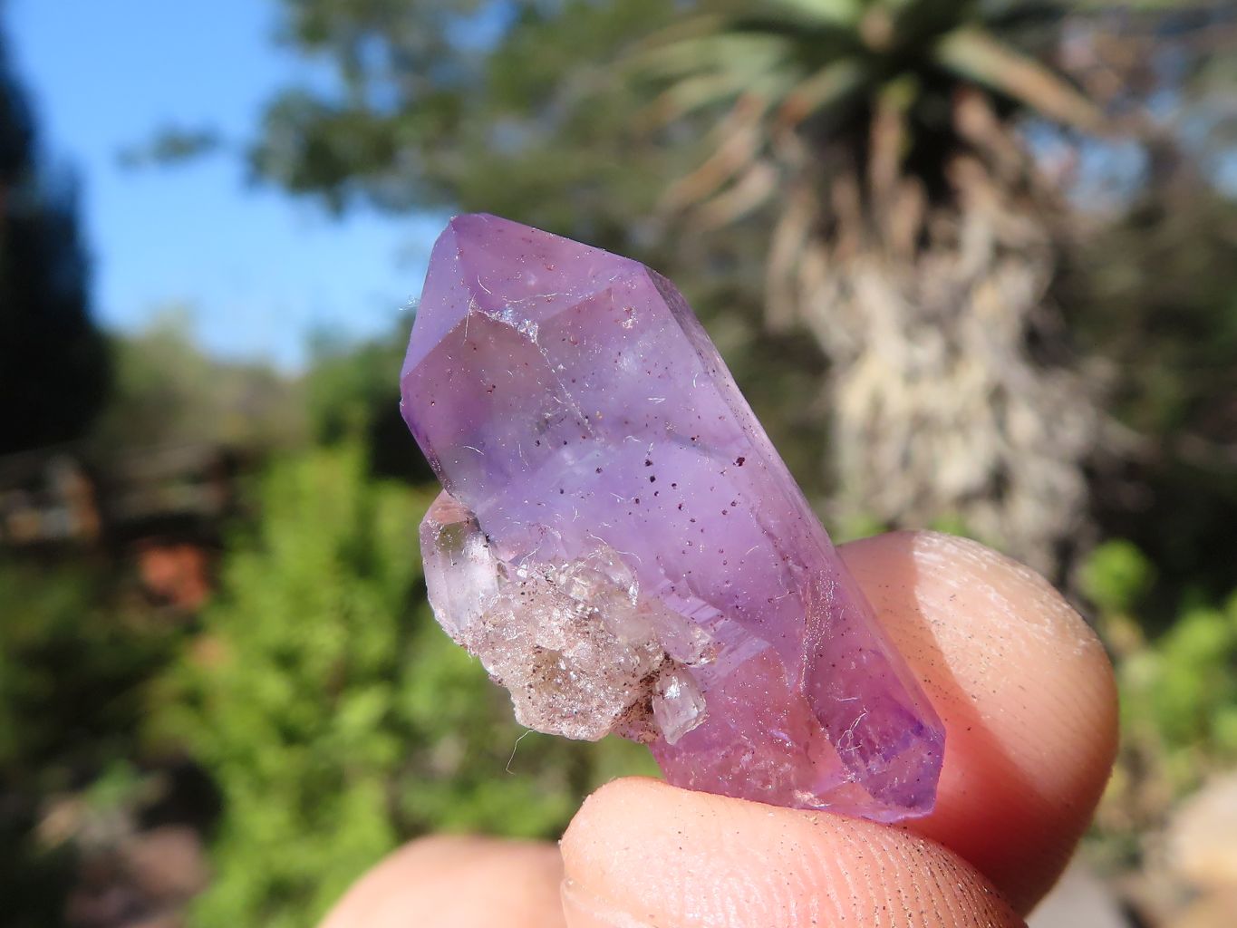 Natural Mini Smokey Amethyst Crystals  x 70 From Chiredzi, Zimbabwe - Toprock Gemstones and Minerals 