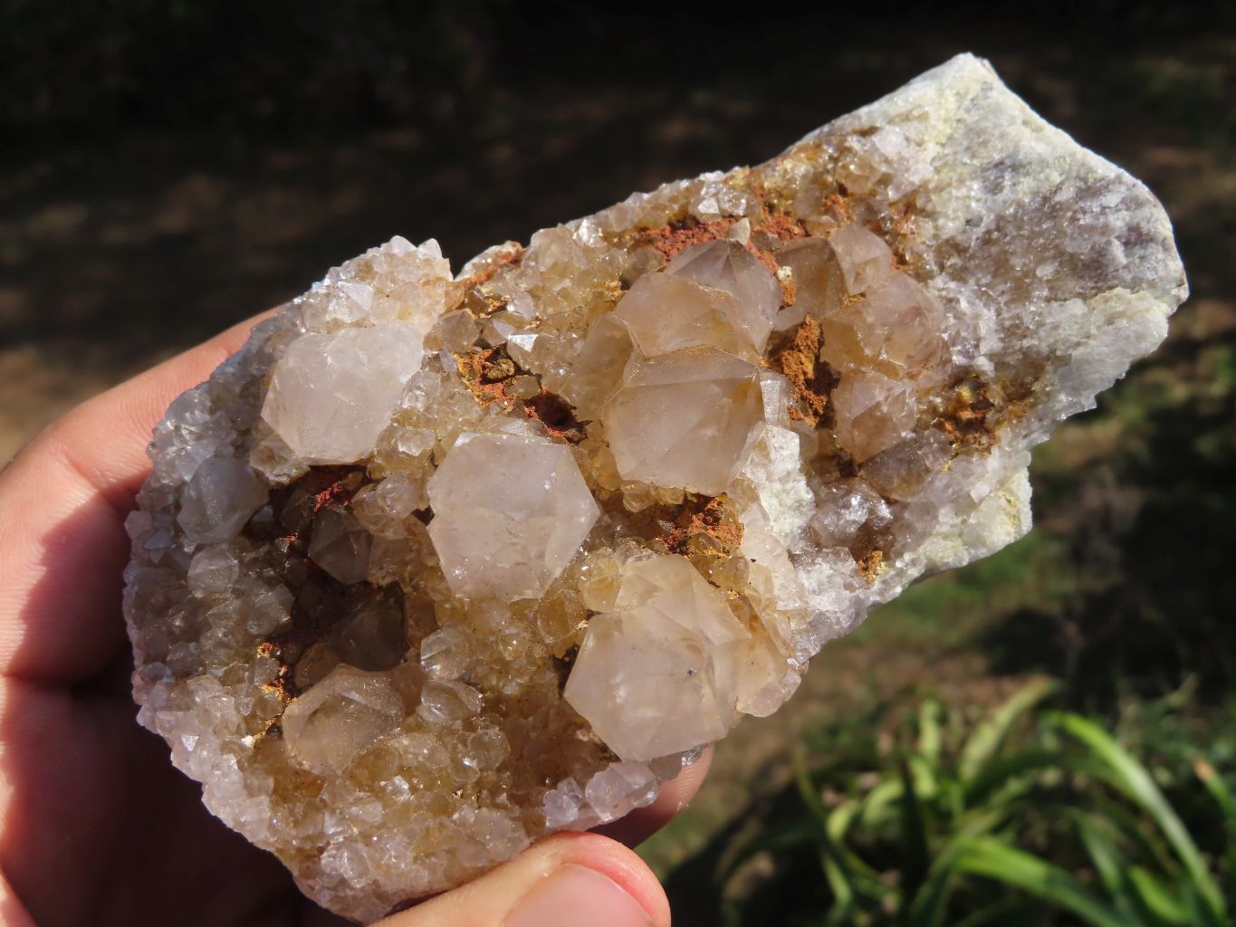 Natural Spirit Cactus Quartz Clusters With Limonite Colouring x 3 From Boekenhouthoek, South Africa - TopRock