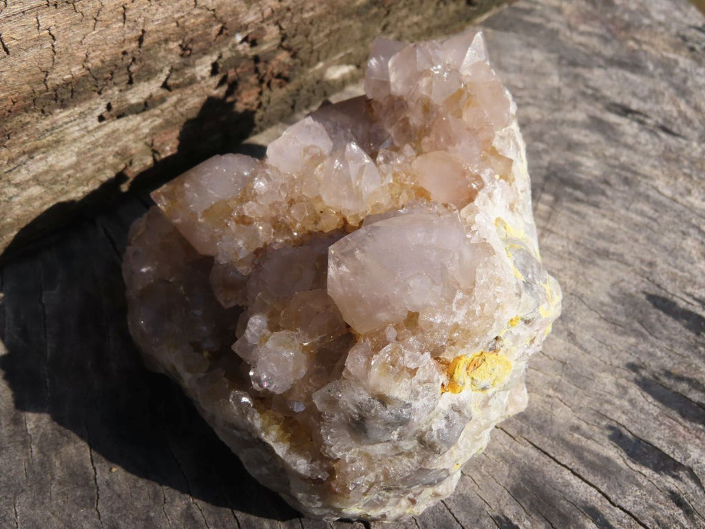Natural Spirit Cactus Quartz Clusters With Limonite Colouring x 3 From Boekenhouthoek, South Africa - TopRock
