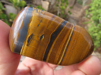 Polished Golden Tigers Eye Free Forms x 12 From Prieska, Northern Cape