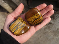 Polished Golden Tigers Eye Free Forms x 12 From Prieska, Northern Cape