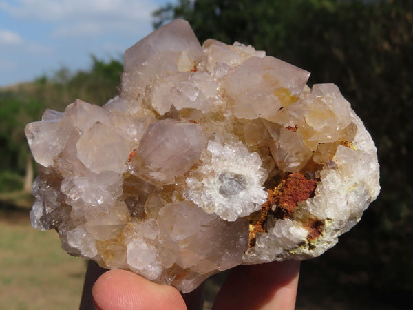 Natural Spirit Cactus Quartz Clusters With Limonite Colouring x 3 From Boekenhouthoek, South Africa - TopRock