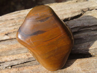 Polished Golden Tigers Eye Free Forms x 12 From Prieska, Northern Cape