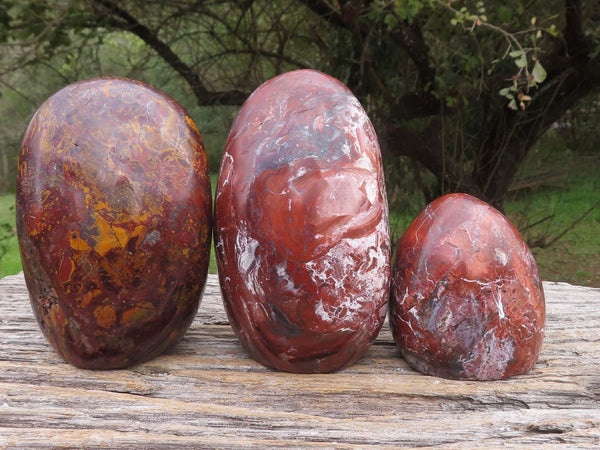 Polished Stunning New Brecciated Red Jasper Standing Free Forms  x 3 From Madagascar - TopRock