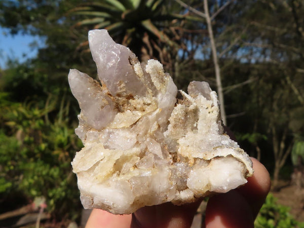 Natural Drusy Quartz Coated Calcite Crystals  x 12 From Alberts Mountain, Lesotho