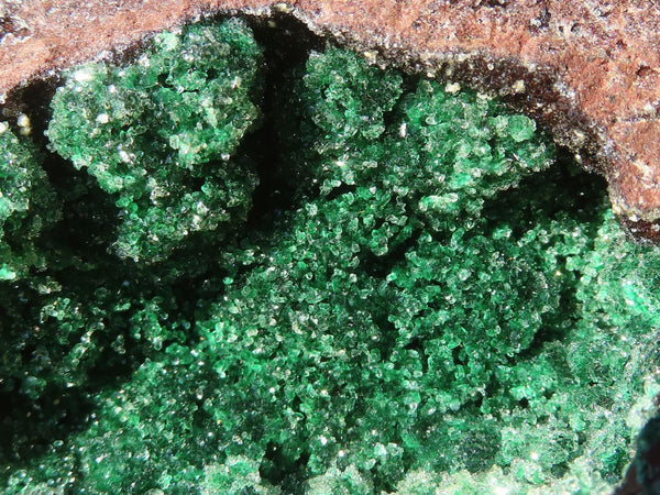 Natural Drusy Coated Malachite On Dolomite Specimen  x 1 From Likasi, Congo - Toprock Gemstones and Minerals 