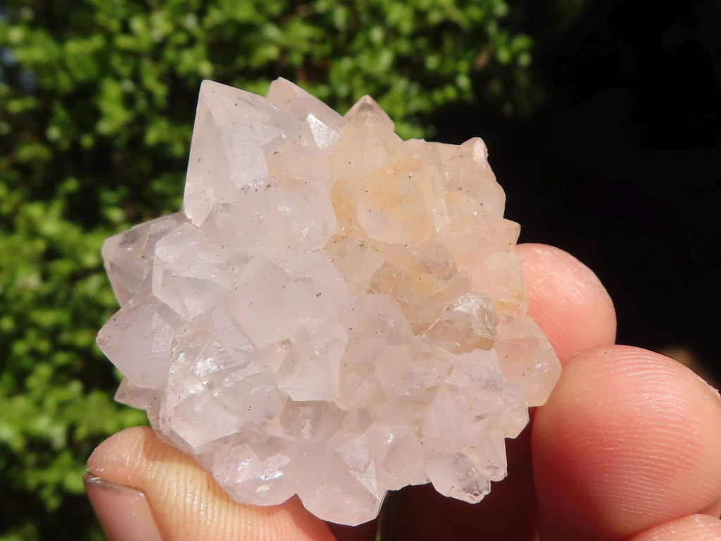 Natural Mini White Spirit Quartz Clusters  x 35 From Boekenhouthoek, South Africa - Toprock Gemstones and Minerals 
