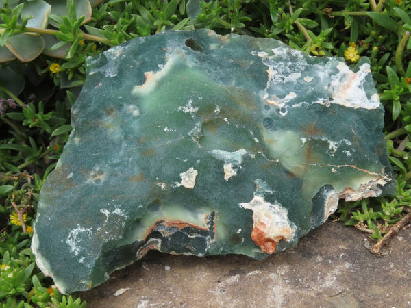 Natural Extra Large Mtorolite Chrome Chrysoprase Plates x 2 From Mutorashanga, Zimbabwe - TopRock