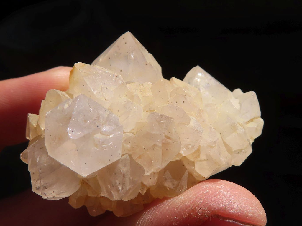 Natural Mini White Spirit Quartz Clusters  x 35 From Boekenhouthoek, South Africa - Toprock Gemstones and Minerals 