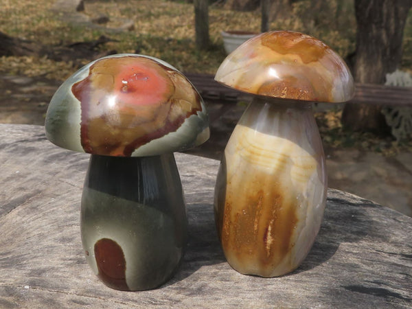 Polished Stunning Polychrome / Picasso Jasper Mushrooms   x 4 From Mahajanga, Madagascar