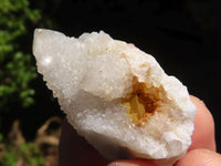 Natural Mini White Spirit Quartz Clusters  x 35 From Boekenhouthoek, South Africa - Toprock Gemstones and Minerals 
