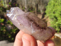 Natural Smokey Amethyst Crystals  x 7 From Chiredzi, Zimbabwe - Toprock Gemstones and Minerals 