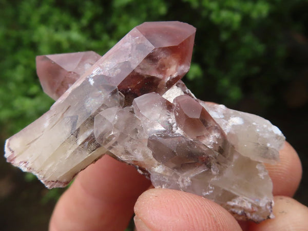 Natural Red Hematoid Phantom Quartz Crystals  x 35 From Karoi, Zimbabwe - Toprock Gemstones and Minerals 