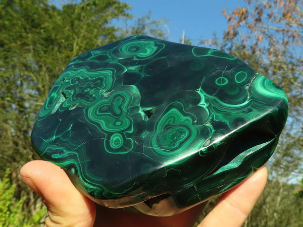 Polished Stunning Flower Malachite Free Form  x 1 From Congo - Toprock Gemstones and Minerals 