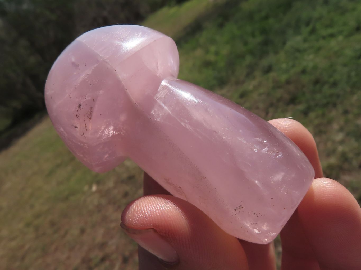 Polished Gemmy Pink Star Rose Quartz Mushrooms  x 6 From Madagascar - TopRock