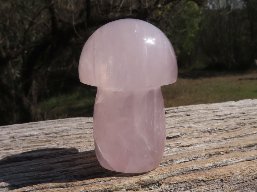 Polished Gemmy Pink Star Rose Quartz Mushrooms  x 6 From Madagascar - TopRock