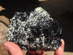 Natural Schorl Black Tourmaline With Quartz & Vermiculite  x 3 From Erongo, Namibia - Toprock Gemstones and Minerals 