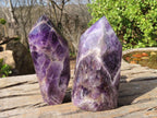 Polished Chevron Amethyst Points x 2 From Zambia - Toprock Gemstones and Minerals 
