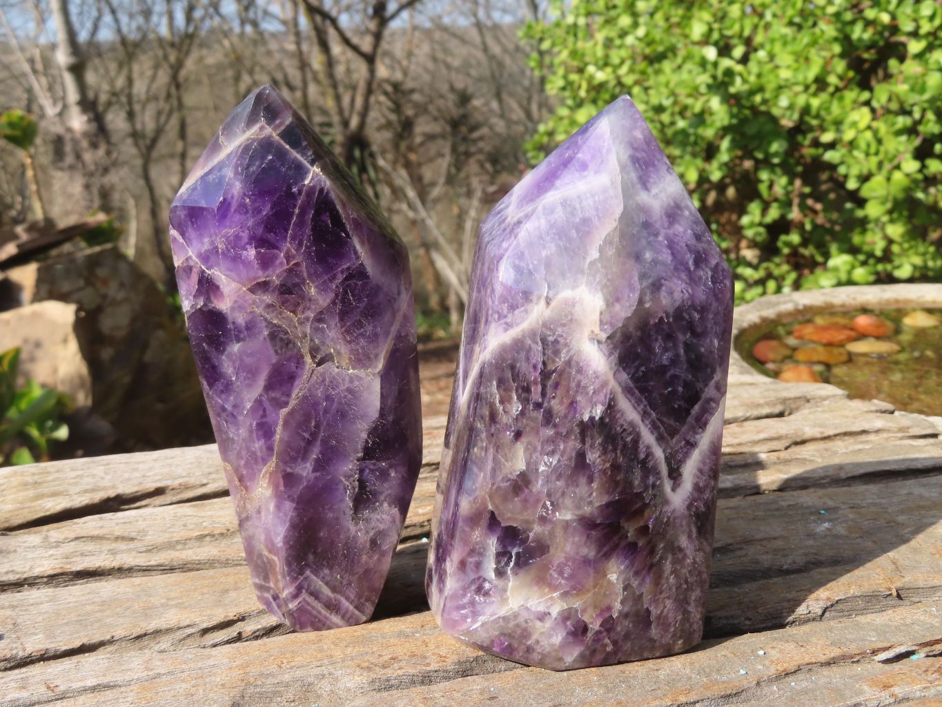 Polished Chevron Amethyst Points x 2 From Zambia - Toprock Gemstones and Minerals 