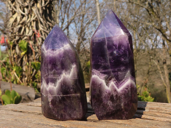 Polished Chevron Amethyst Points x 6 From Zambia