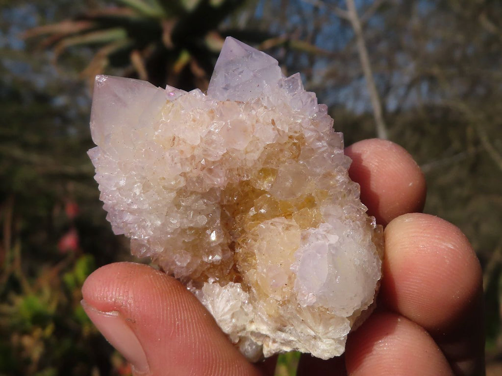 Natural Small Lilac & Ametrine Spirit Quartz Specimens x 20 From Boekenhouthoek, South Africa - Toprock Gemstones and Minerals 