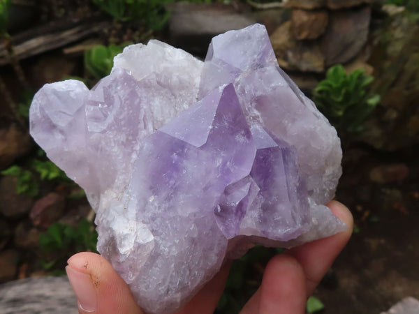 Natural Jacaranda Amethyst Clusters  x 4 From Zambia - Toprock Gemstones and Minerals 