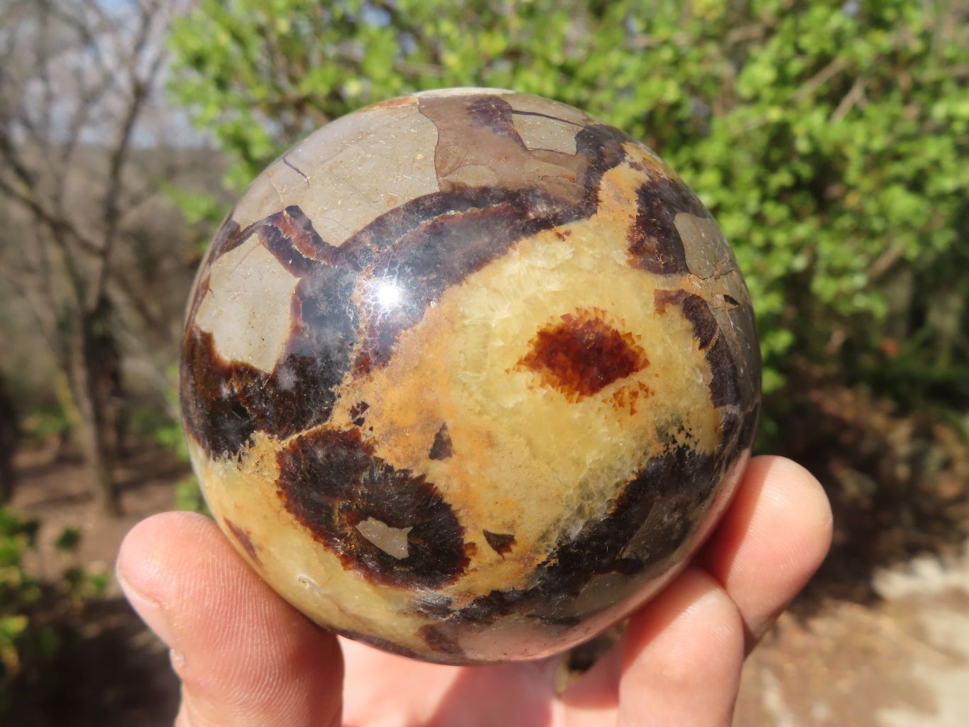 Polished Septaria (Calcite & Aragonite) Spheres  x 4 From Madagascar - Toprock Gemstones and Minerals 