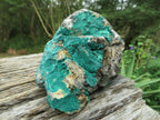 Natural Drusy Coated Malachite On Matrix Specimens x 3 From Tenke Fungurume, Congo - TopRock