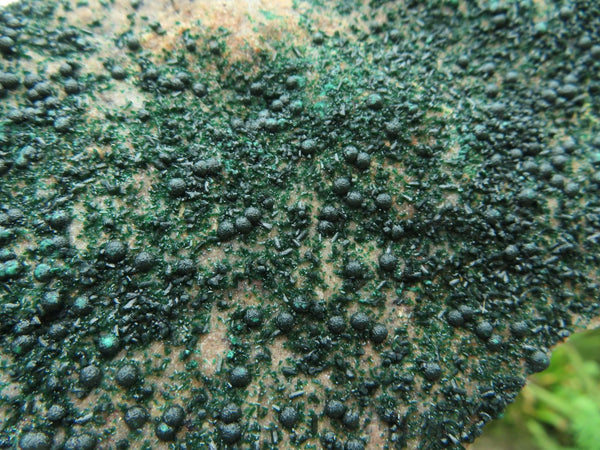 Natural Drusy Miocrobotryoidal Malachite on Matrix Specimens  x 4 From Congo - TopRock