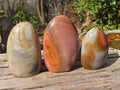 Polished Polychrome Jasper Standing Free Forms  x 3 From Madagascar - Toprock Gemstones and Minerals 