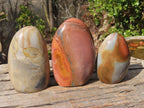 Polished Polychrome Jasper Standing Free Forms  x 3 From Madagascar - Toprock Gemstones and Minerals 