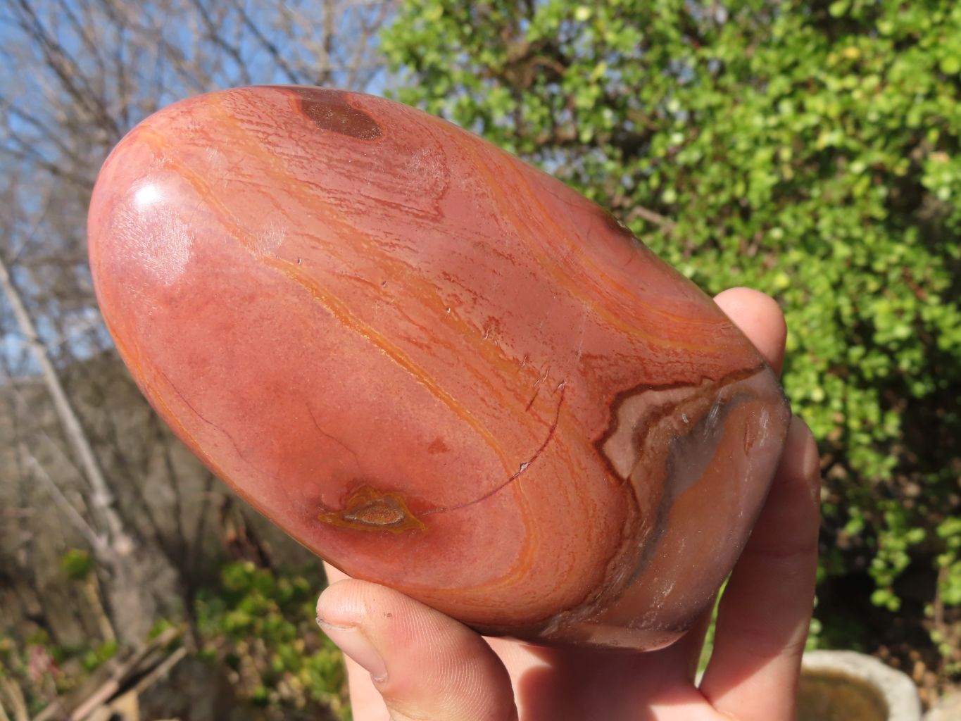 Polished Polychrome Jasper Standing Free Forms  x 3 From Madagascar - Toprock Gemstones and Minerals 