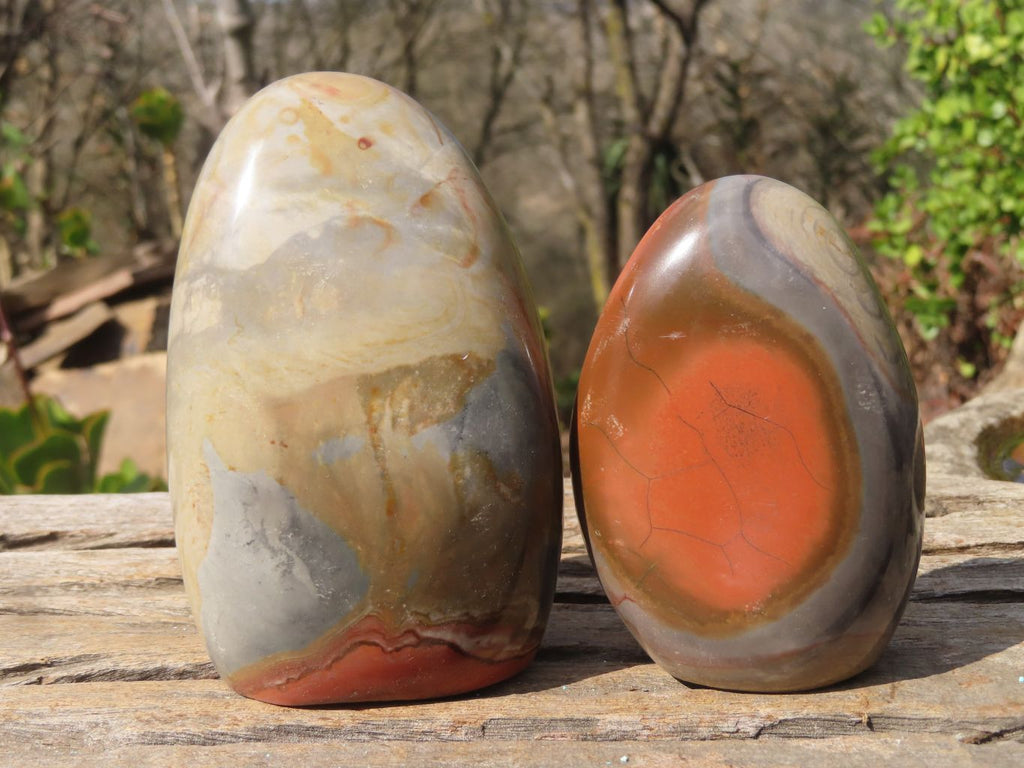 Polished Polychrome Jasper Standing Free Forms  x 3 From Madagascar - Toprock Gemstones and Minerals 