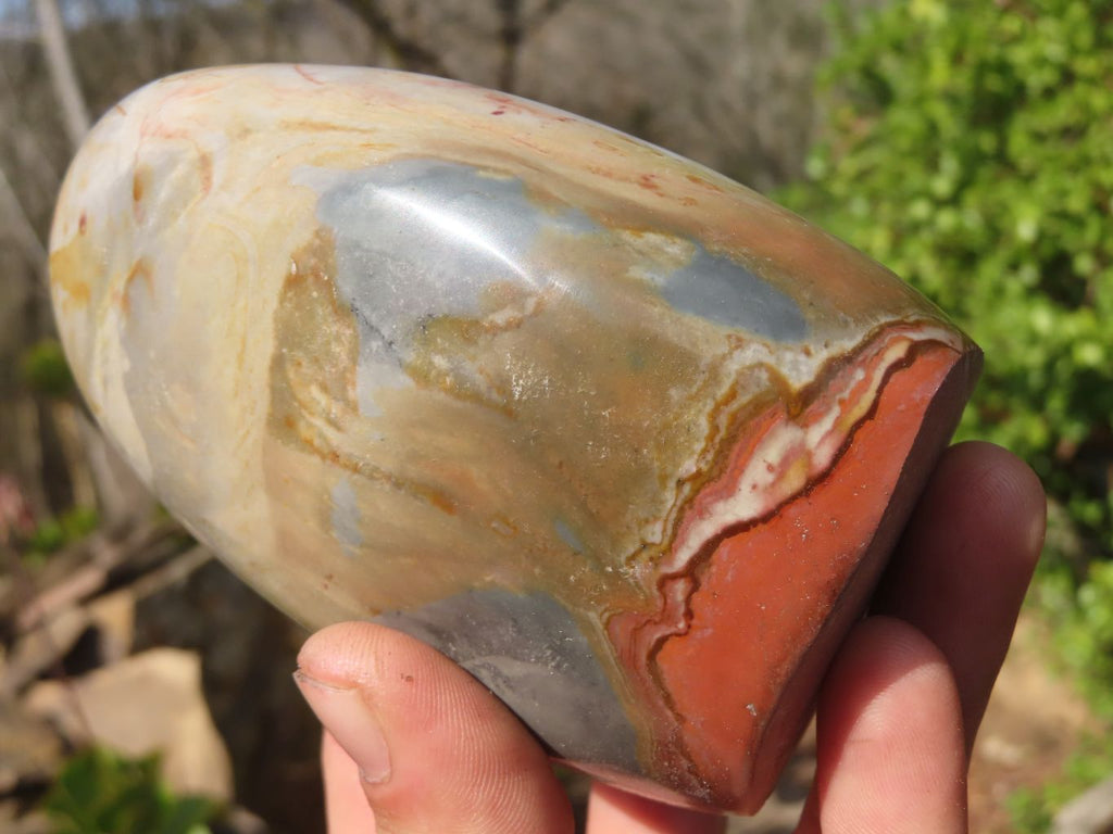 Polished Polychrome Jasper Standing Free Forms  x 3 From Madagascar - Toprock Gemstones and Minerals 
