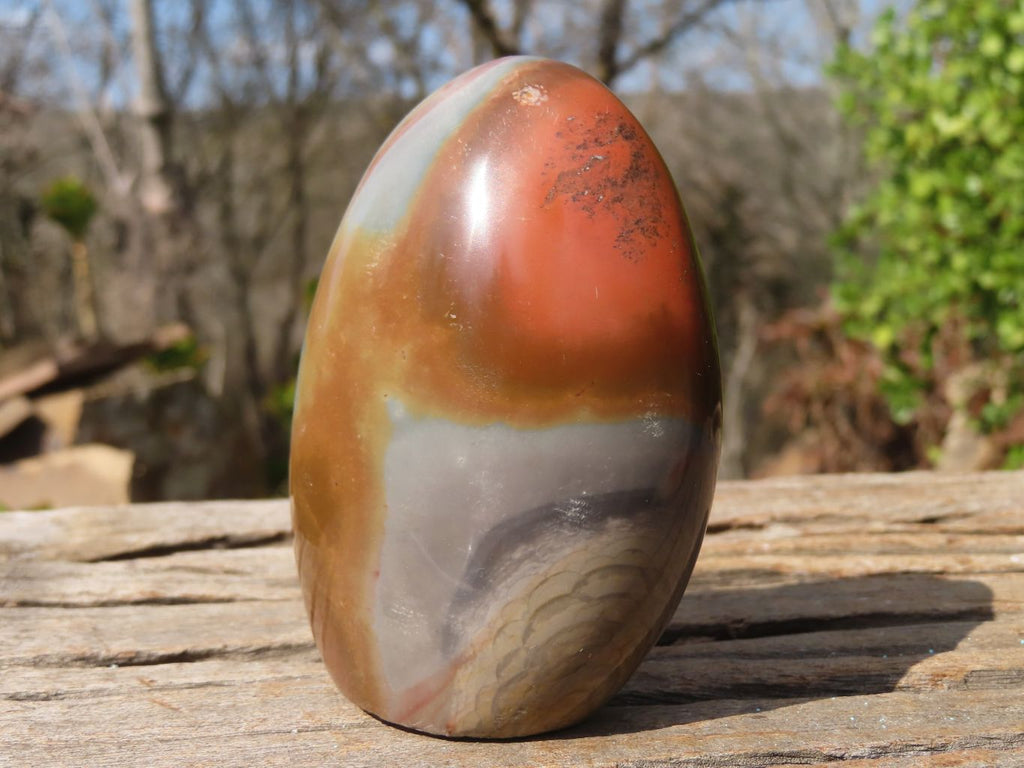 Polished Polychrome Jasper Standing Free Forms  x 3 From Madagascar - Toprock Gemstones and Minerals 