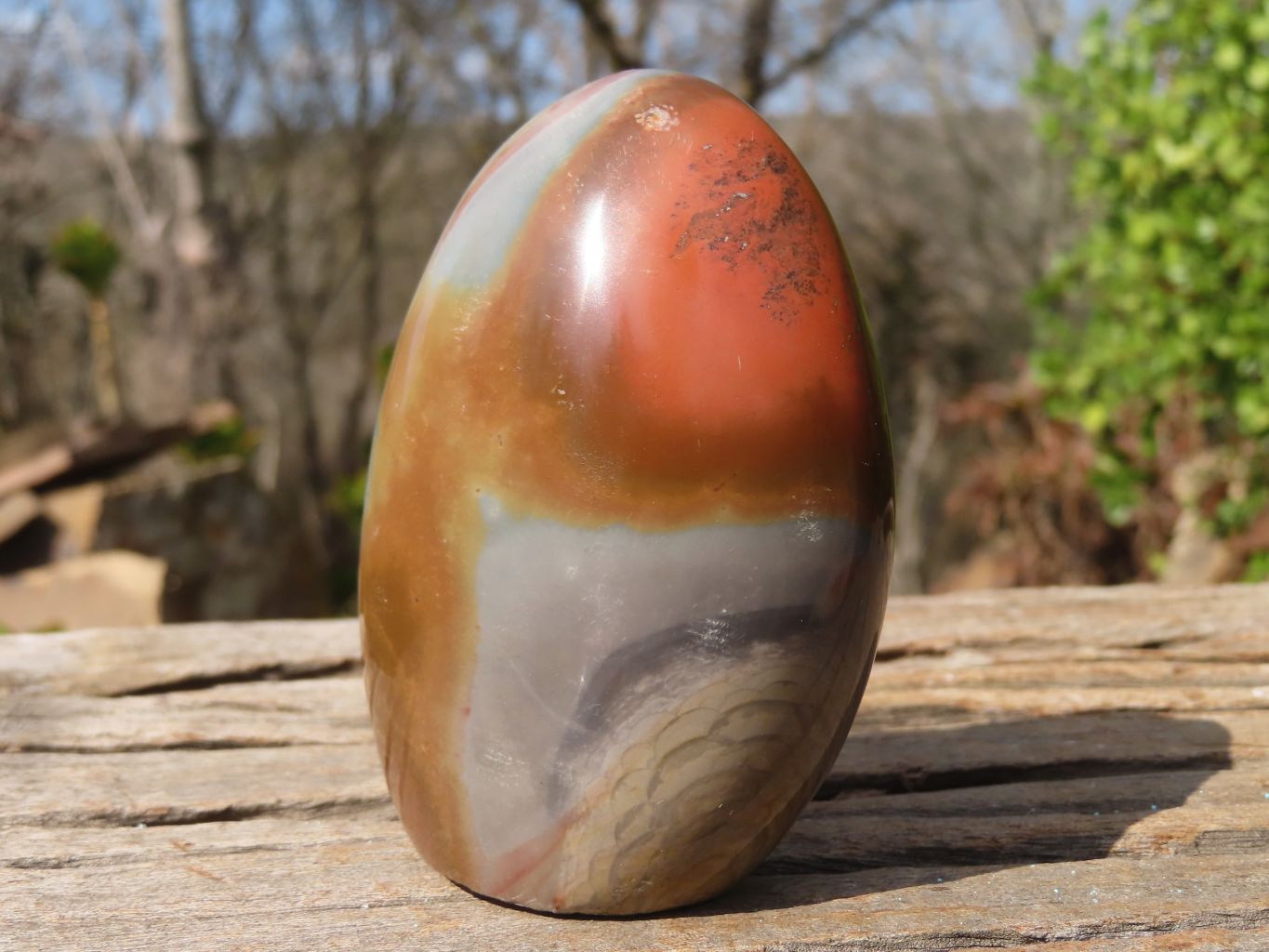 Polished Polychrome Jasper Standing Free Forms  x 3 From Madagascar - Toprock Gemstones and Minerals 