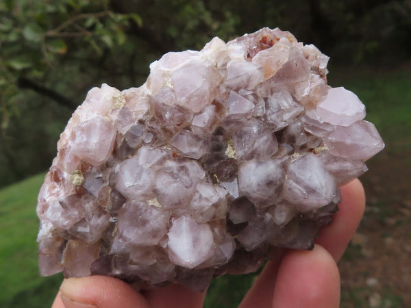 Natural Mixed Selection Of Spirit / Cactus Quartz Clusters  x 6 From Boekenhouthoek, South Africa - TopRock