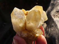 Natural Small Golden Limonite / Lemonite Quartz Clusters  x 35 From Zambia - Toprock Gemstones and Minerals 