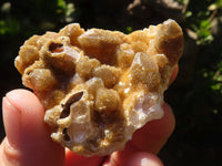 Natural Small Golden Limonite / Lemonite Quartz Clusters  x 35 From Zambia - Toprock Gemstones and Minerals 