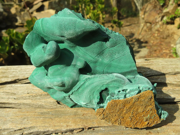 Natural Malachite Specimens x 2 From Congo - Toprock Gemstones and Minerals 